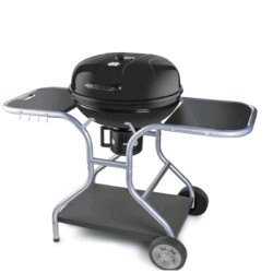 FIELDMANN FZG 1014 BARBECUE...